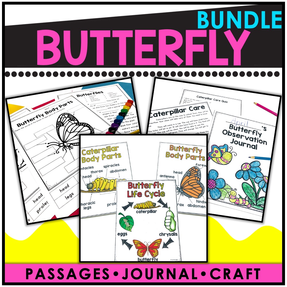 Butterfly Life Cycle Activities For Kids