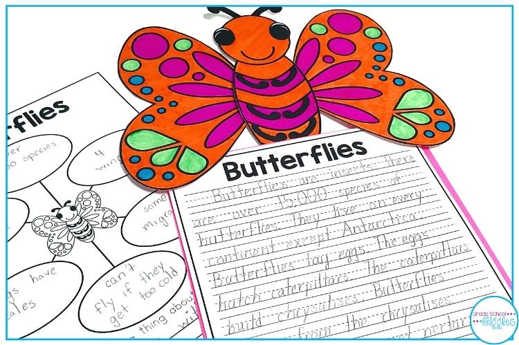 Butterfly Writing Activity And Butterfly Craft