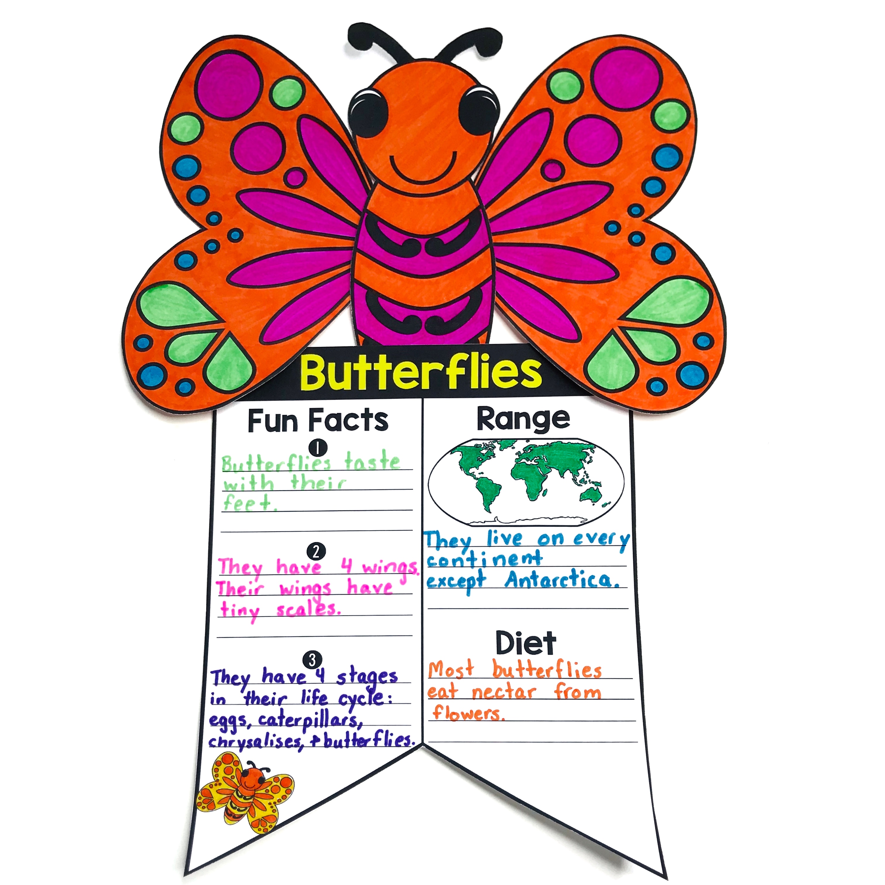 Butterfly Habitat for Kids