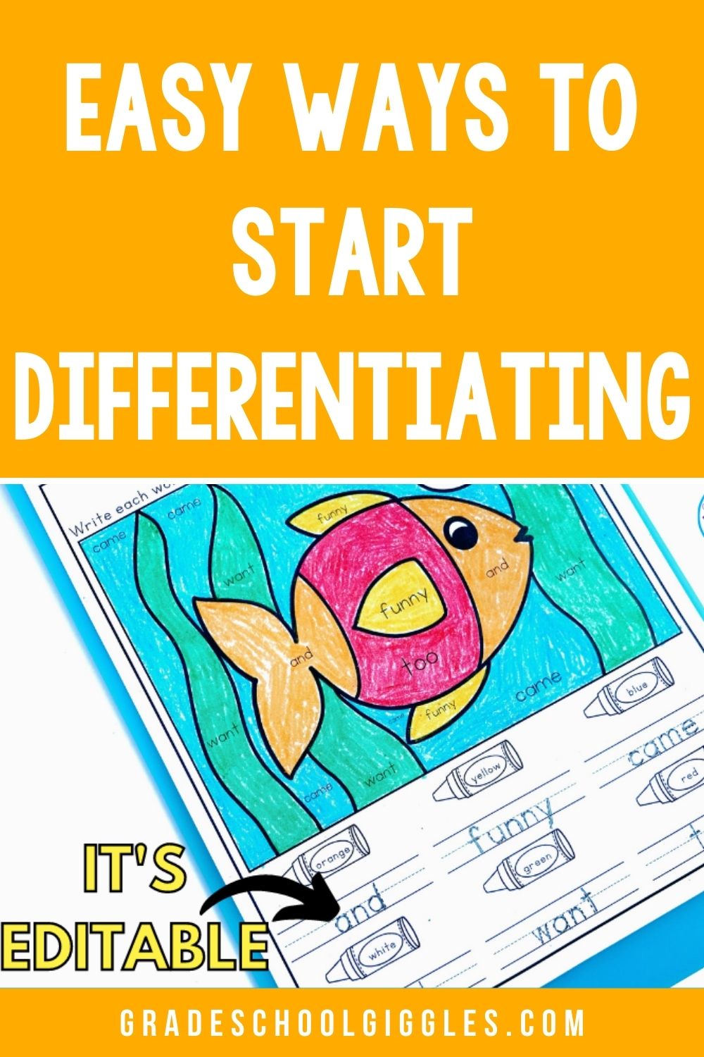 5-easy-ways-you-can-start-differentiating-in-your-classroom-today