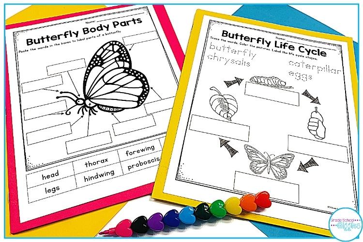7 Simple Butterfly Life Cycle Activities For Kids - Grade School Giggles