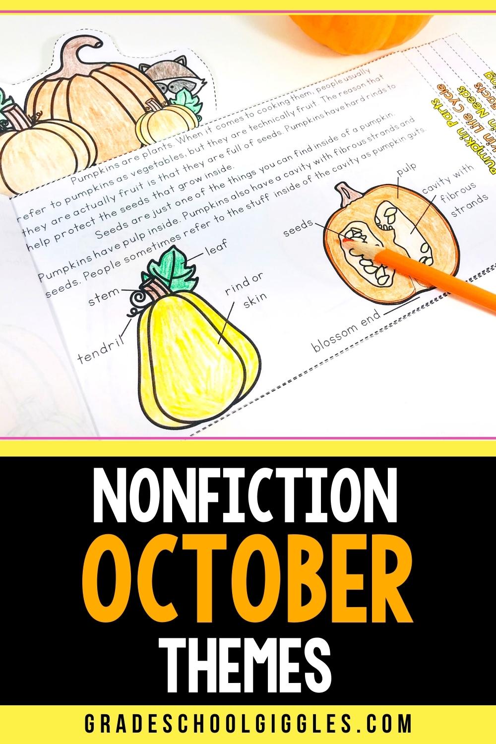 Nonfiction Themes For October: Spiders, Bats, And Pumpkins - Grade ...