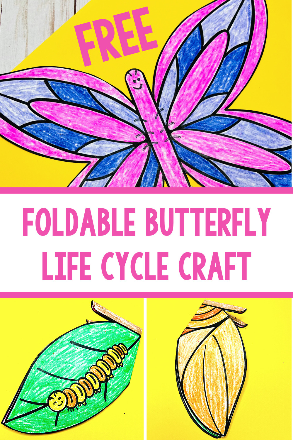 Butterfly Life Cycle Craft 10 Minutes Of Quality Time - vrogue.co