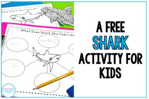 Shark Activity For Kids - Grade School Giggles